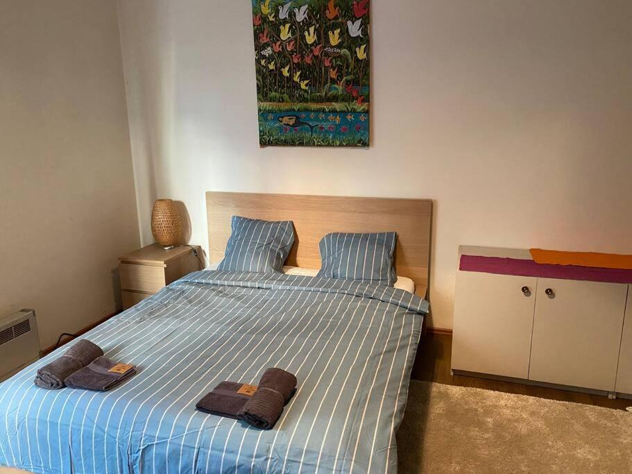 صوفيا Opera Apartment 2 With Wifi & Tv المظهر الخارجي الصورة